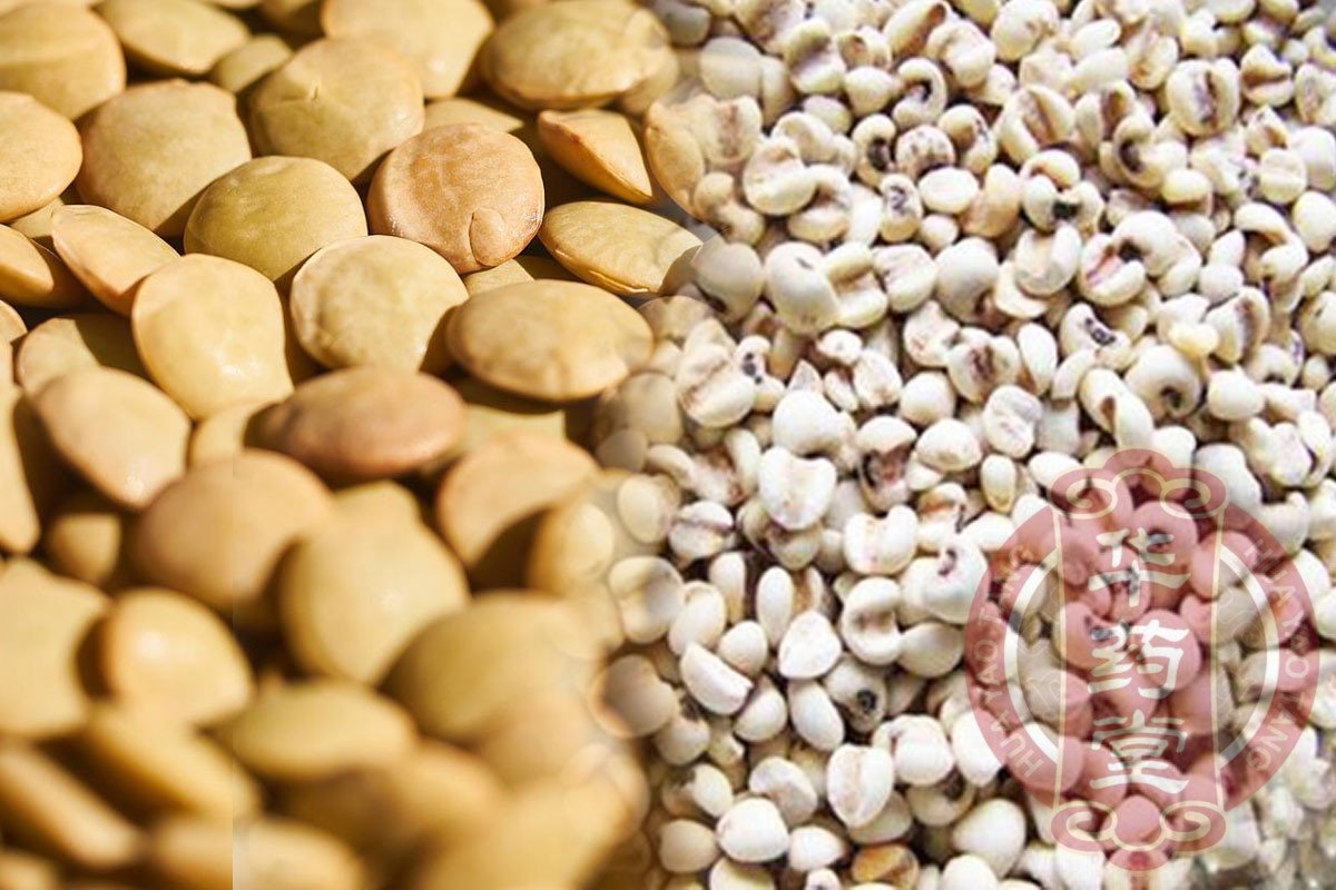 扁豆和薏米都是养护脾胃的日常食材/脾胃健康//中医/营养/食疗方法/