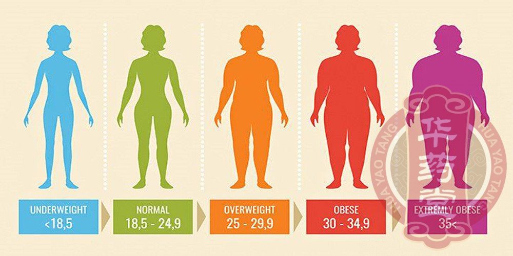 体重指数(BMI) 根据成年人的身高和体重来衡量体脂